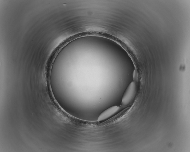 X0000094451022200711151422