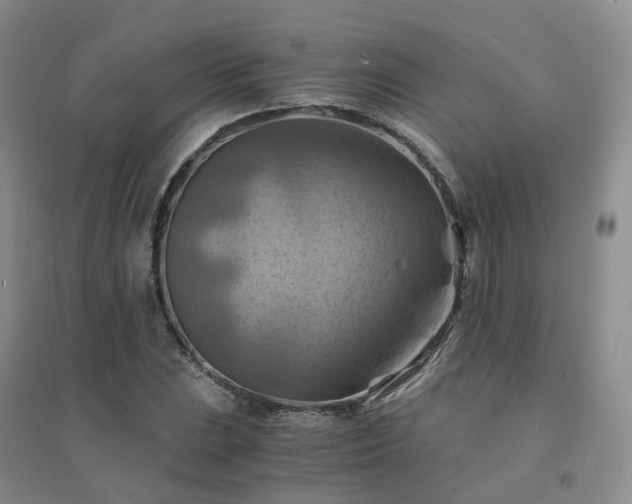 X0000094451023200711151423