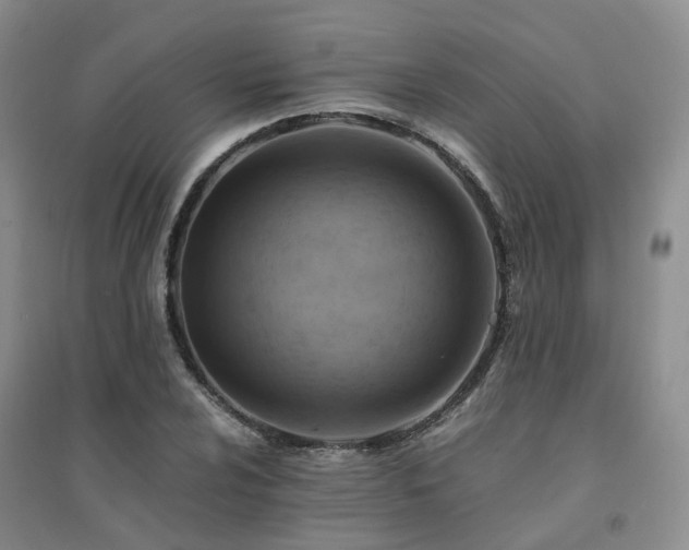 X0000094451024200711151423