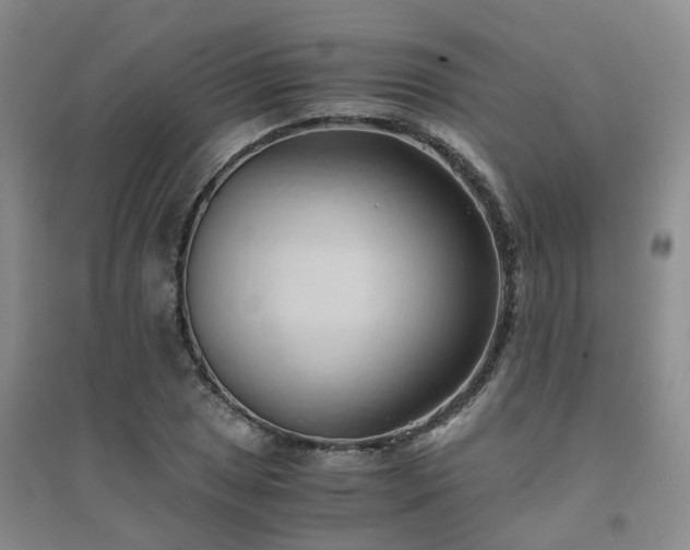 X0000094451025200711151423