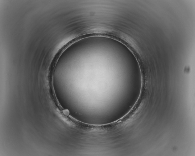 X0000094451026200711151423
