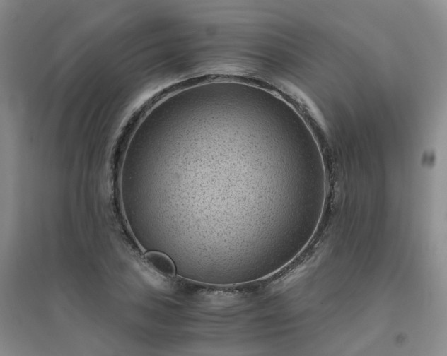 X0000094451027200711151423