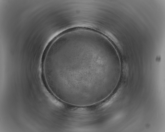 X0000094451028200711151423