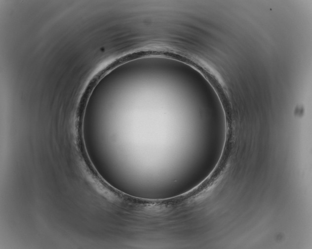 X0000094451029200711151423