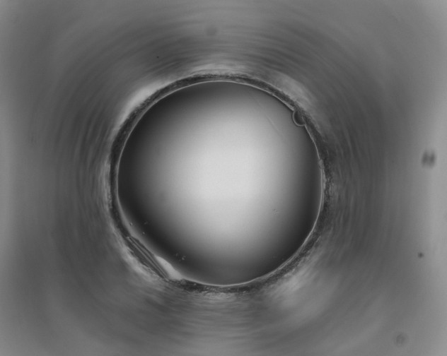 X0000094451030200711151423