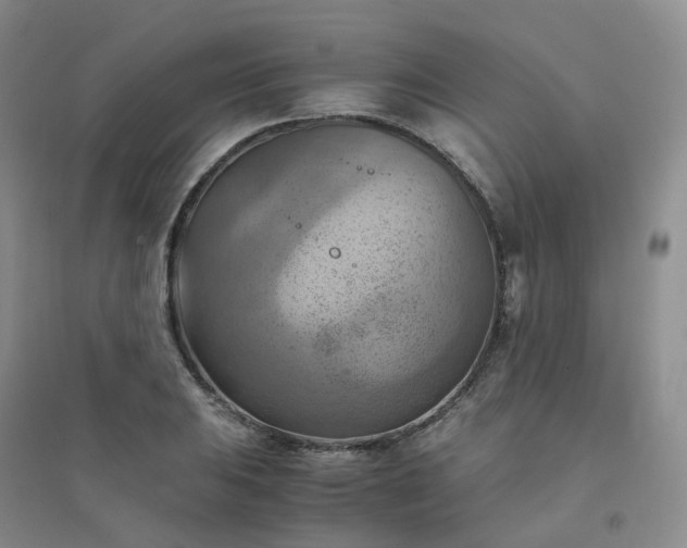 X0000094451031200711151423