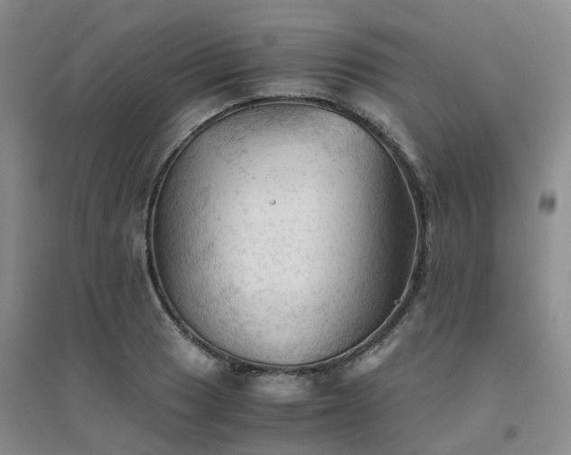 X0000094451033200711151423
