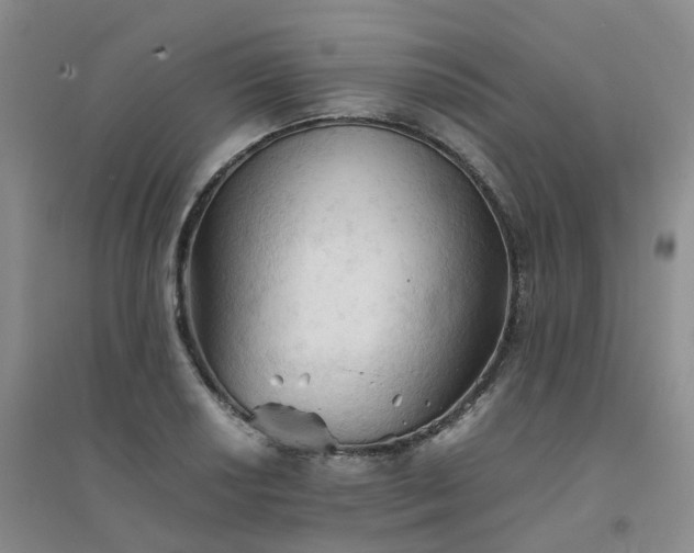 X0000094451034200711151423