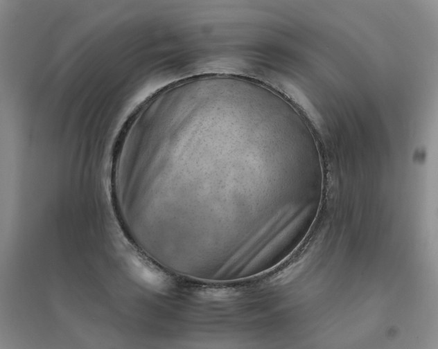 X0000094451035200711151423