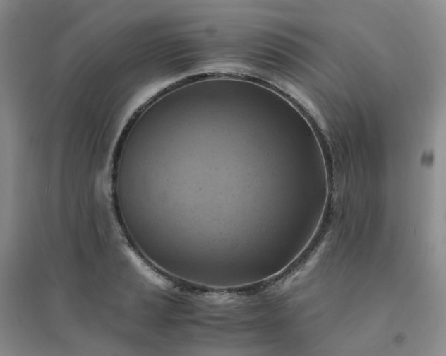 X0000094451037200711151423