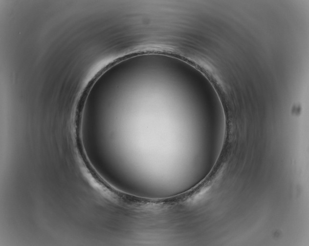 X0000094451038200711151423