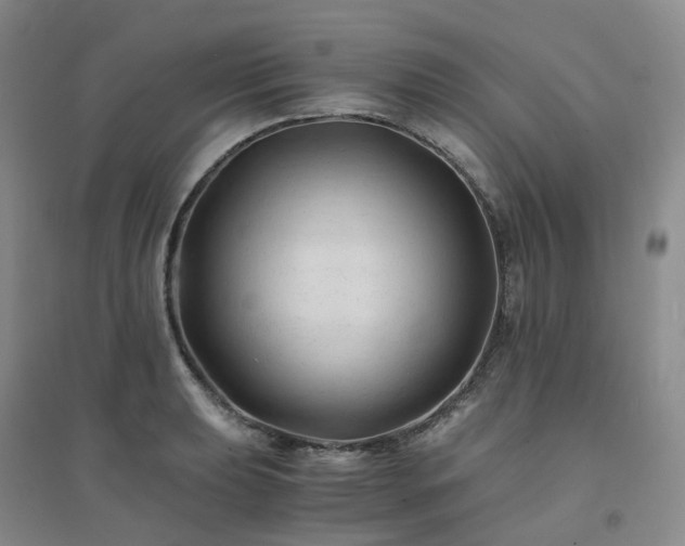 X0000094451039200711151423