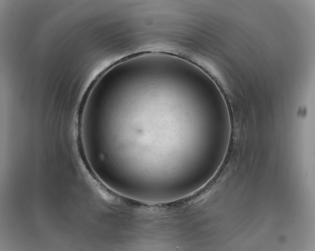 X0000094451040200711151423