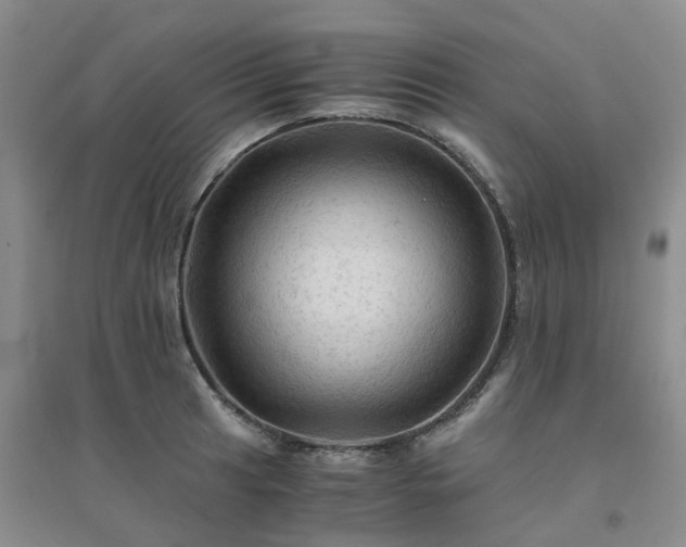X0000094451041200711151423