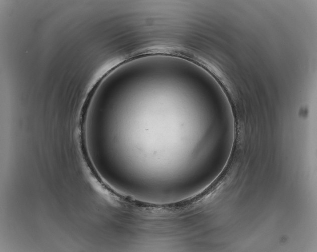 X0000094451042200711151423