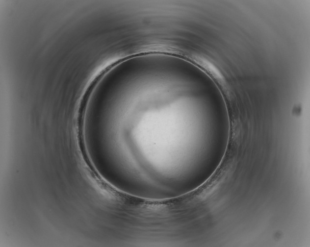 X0000094451043200711151423