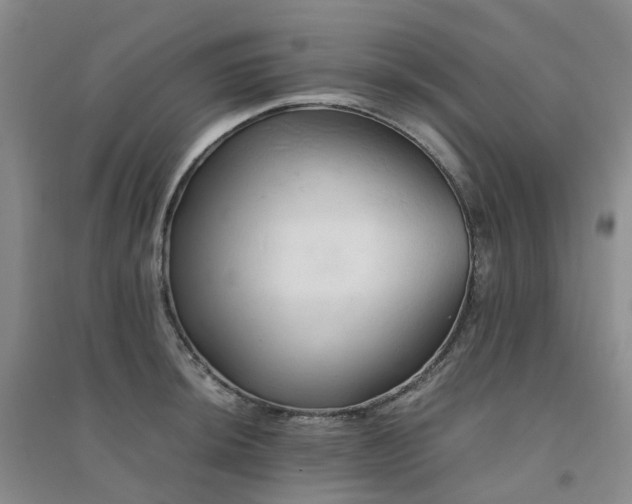 X0000094451044200711151423
