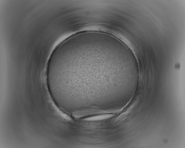 X0000094451045200711151423