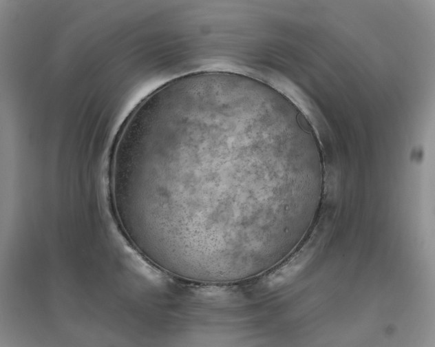 X0000094451048200711151423