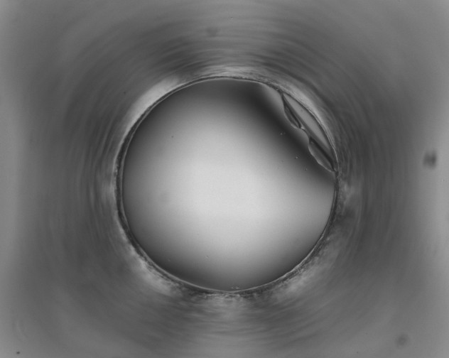 X0000094451050200711151423