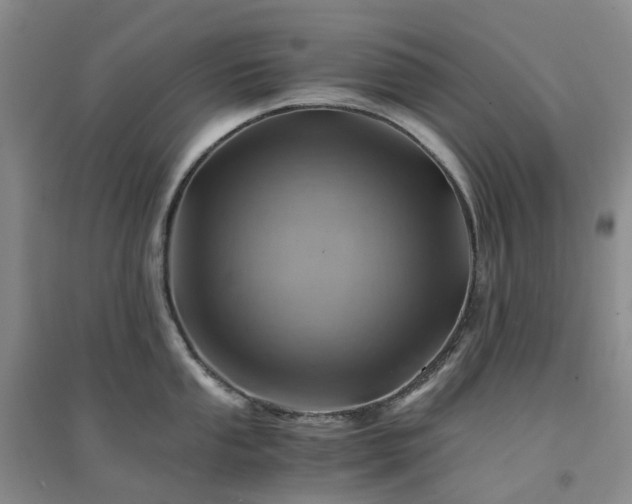 X0000094451053200711151423