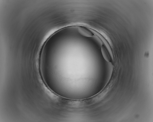 X0000094451054200711151423