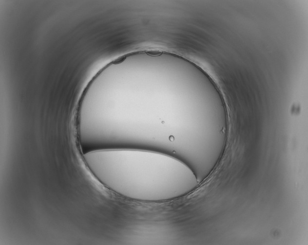 X0000094451056200711151423