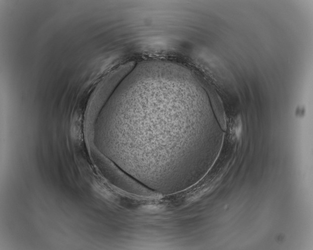 X0000094451060200711151422