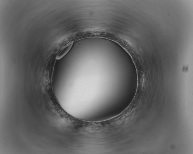 X0000094451062200711151422