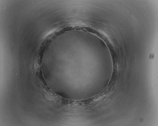 X0000094451063200711151422