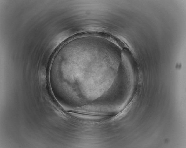 X0000094451065200711151422