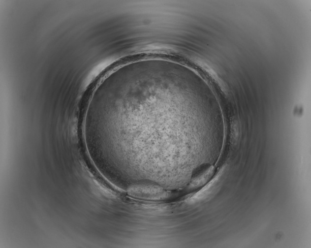 X0000094451066200711151422