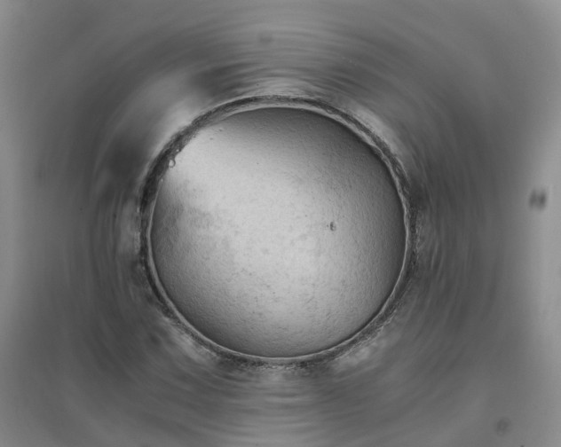 X0000094451067200711151422