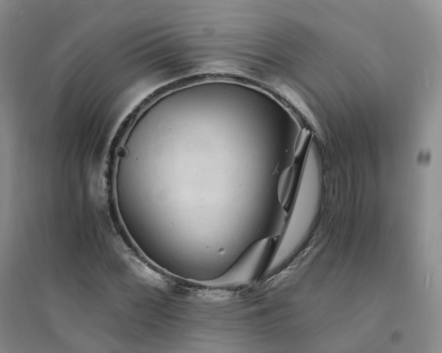 X0000094451068200711151422