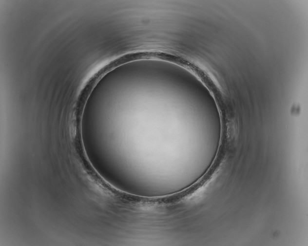 X0000094451069200711151422