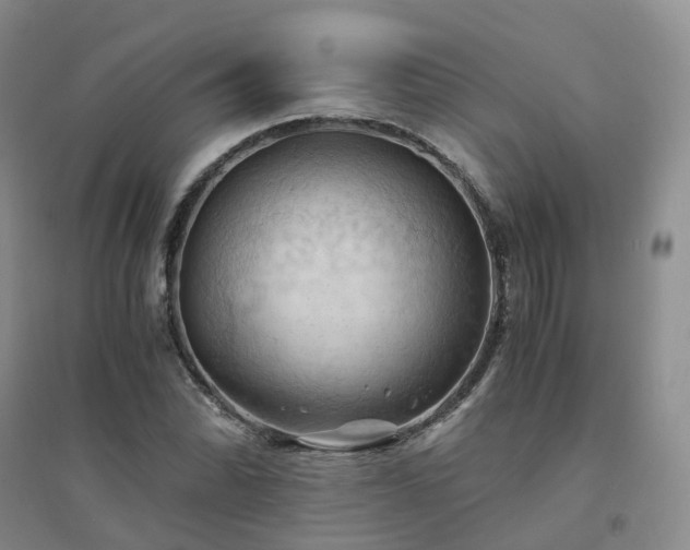 X0000094451070200711151422