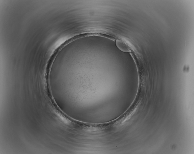 X0000094451071200711151422