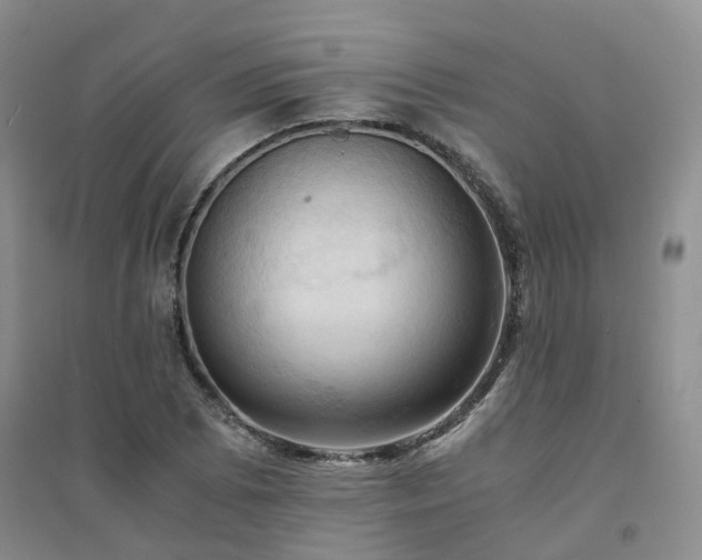 X0000094451073200711151422