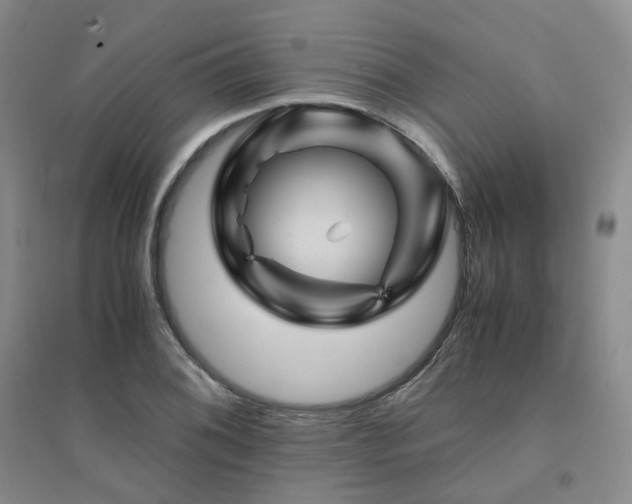 X0000094451076200711151422