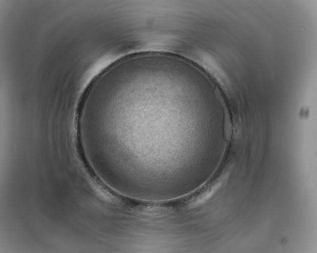 X0000094451077200711151422