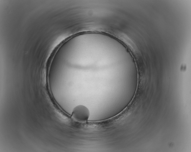 X0000094451079200711151422