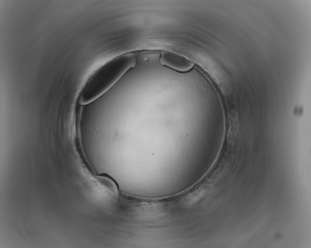 X0000094451080200711151422