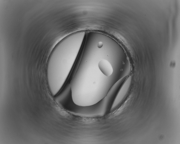 X0000094451081200711151422