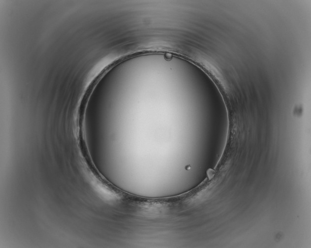 X0000094451082200711151422