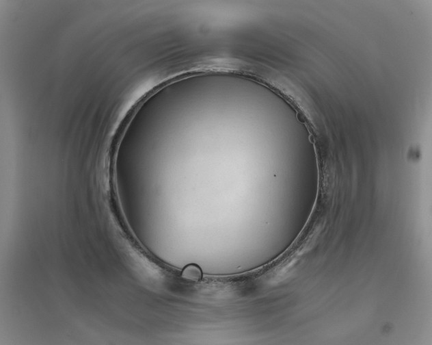 X0000094451083200711151422