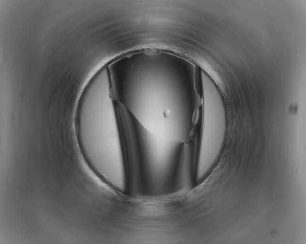 X0000094451084200711151422
