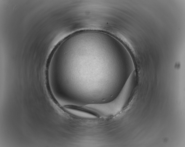 X0000094451085200711151422