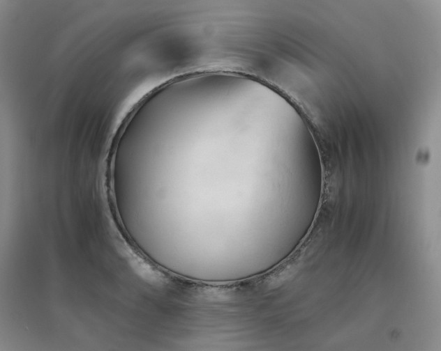 X0000094451086200711151422