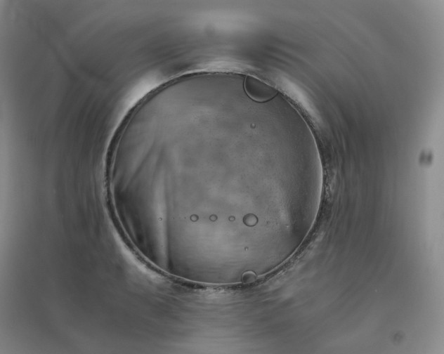 X0000094451087200711151422