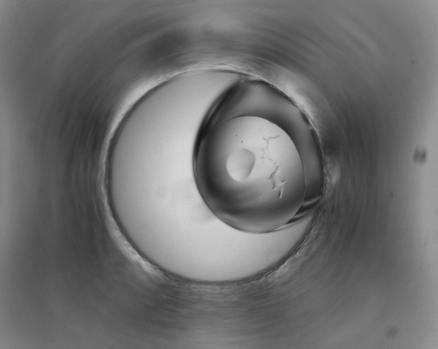 X0000094451088200711151422